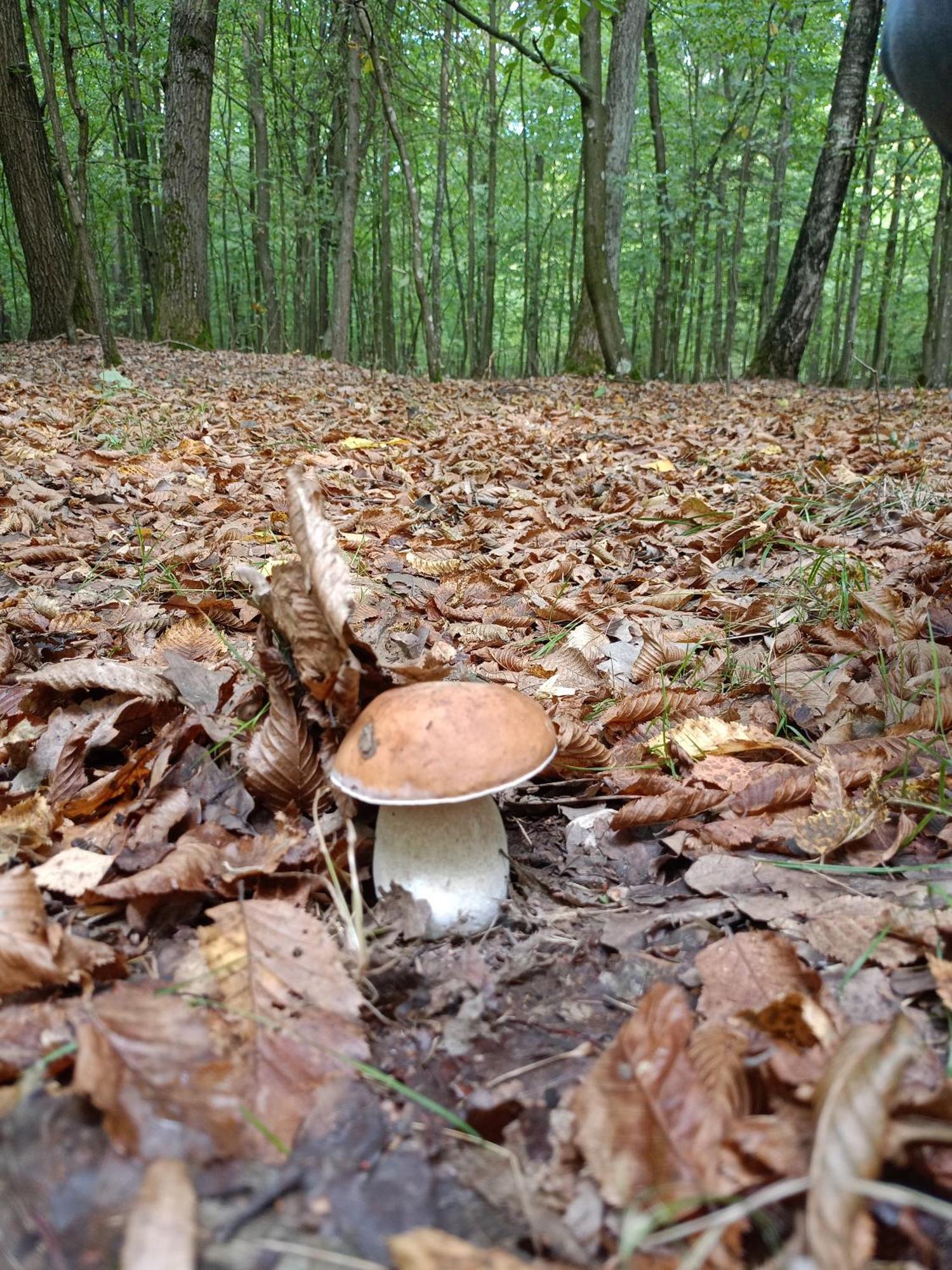 Gosciniec Na Stoku Pokoje 2,3,4 Osobowe, Cisza, Spokoj, Widok Na Stok Narciarski, Lasy, Laki Bobliwo 외부 사진
